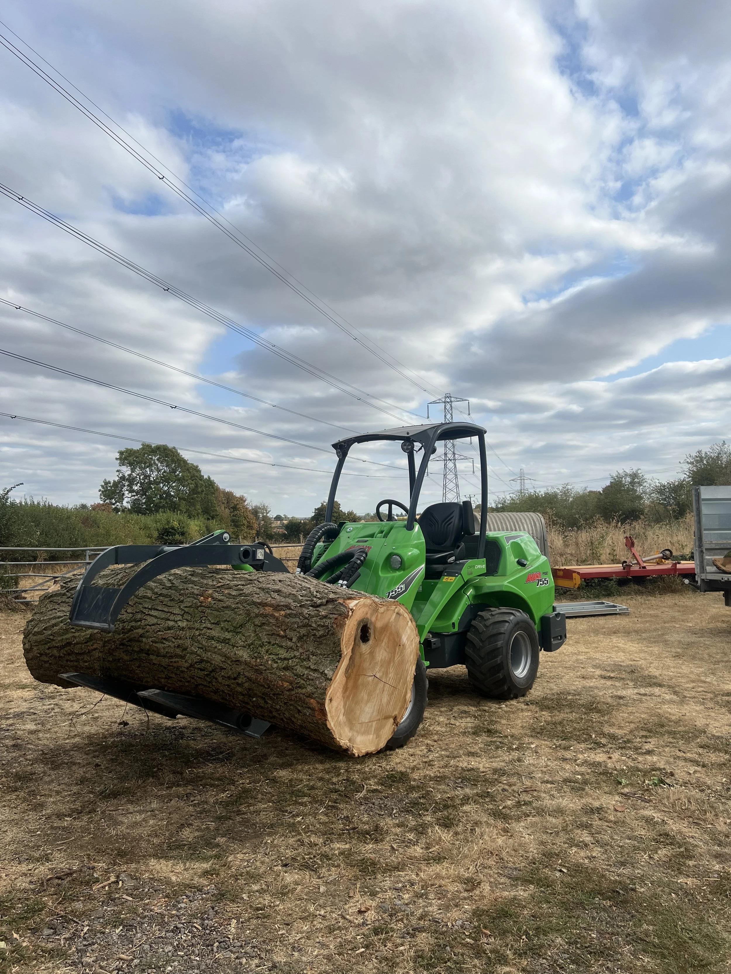 A green compact loader with a large log in the bucket, set outdoors on a dirt patch with trees, power lines, and cloudy sky in the background.