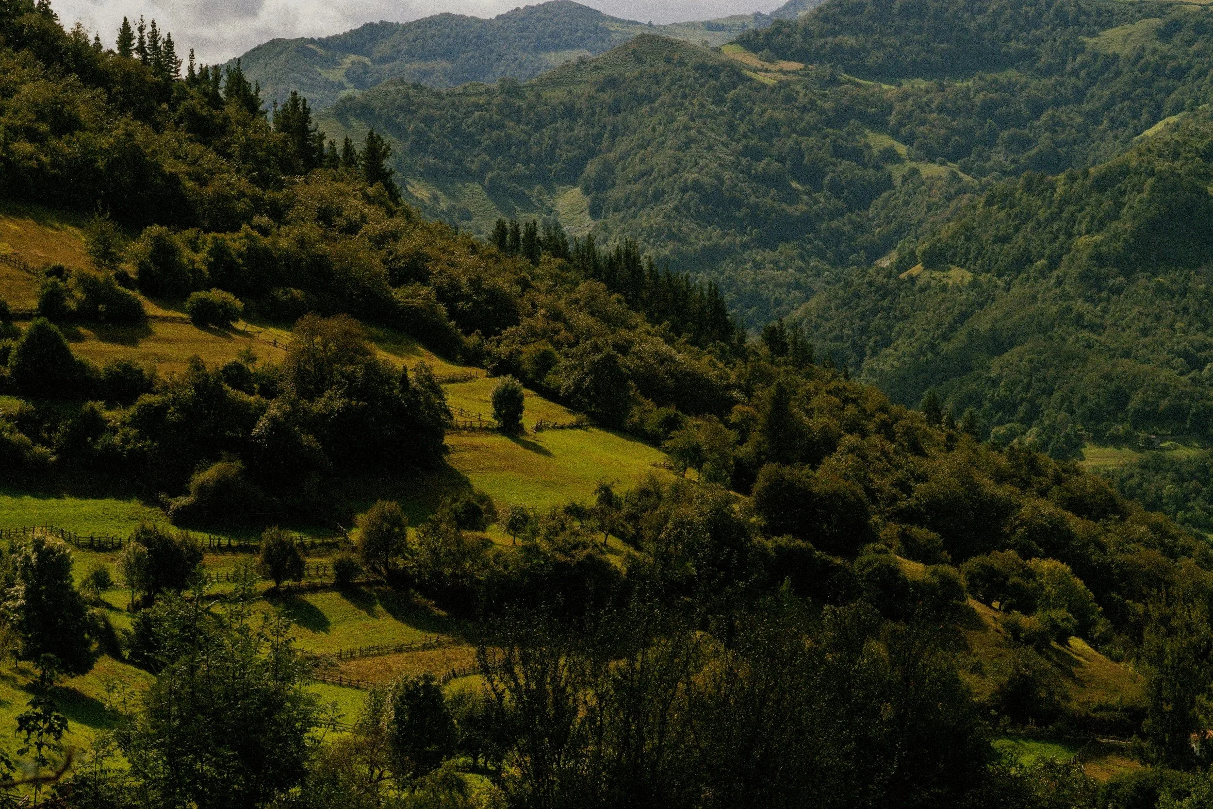 A landscape of rolling green hills and mountains covered with trees, with a partly cloudy sky above.