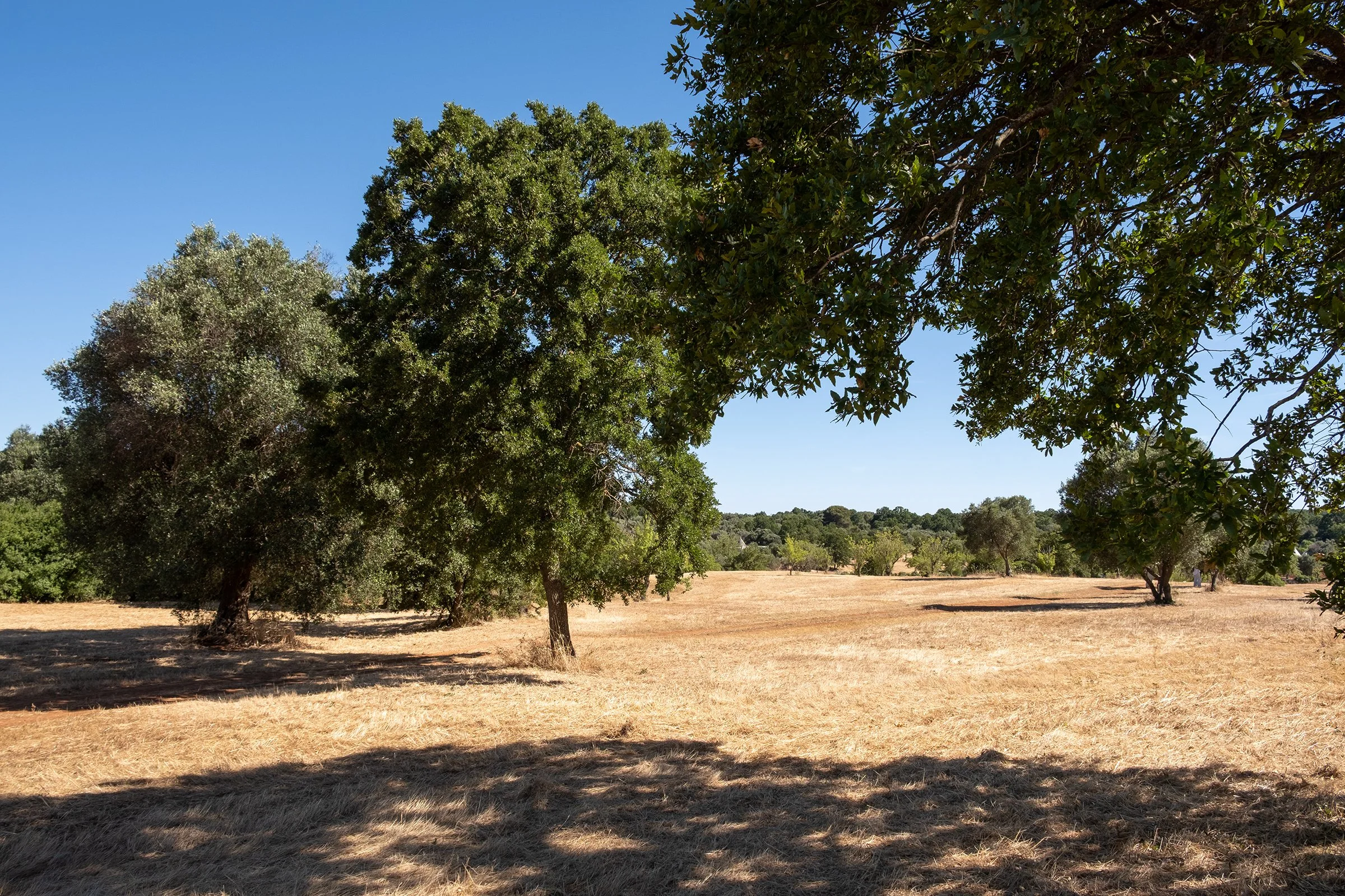 La_Valle_JUNE26_4.jpg