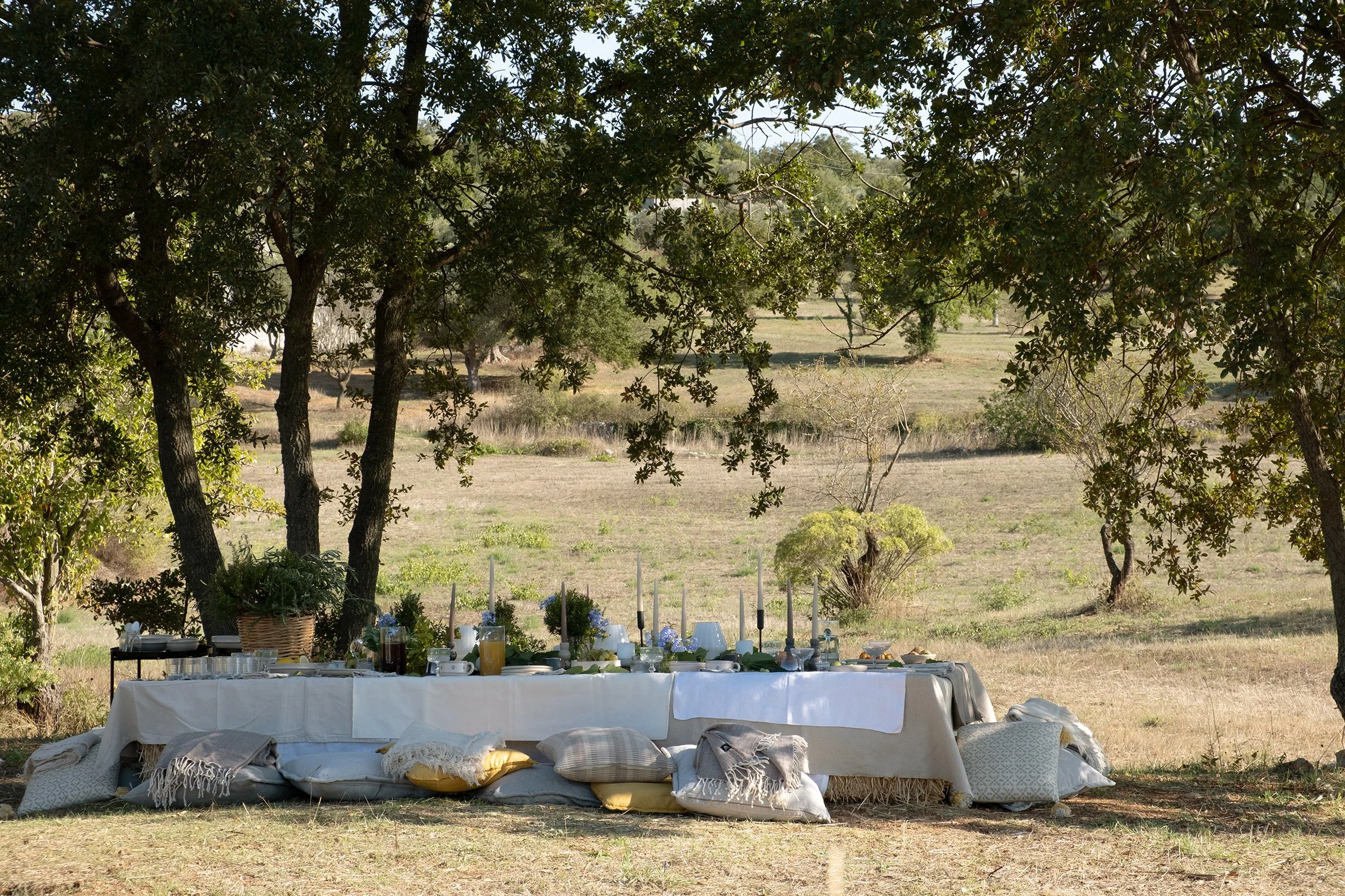 Trulli_Andrea_e_Lucia_experiences_SEPT25_179.jpg
