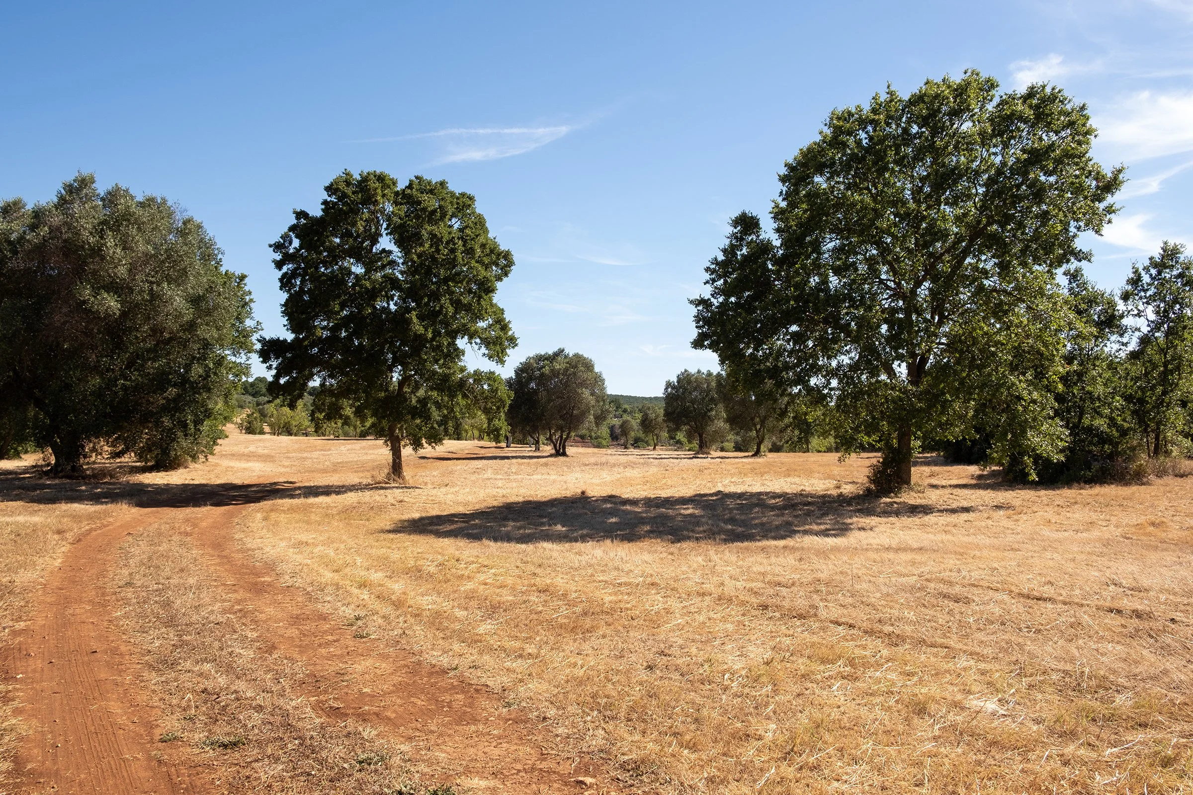 La_Valle_JUNE26_7.jpg
