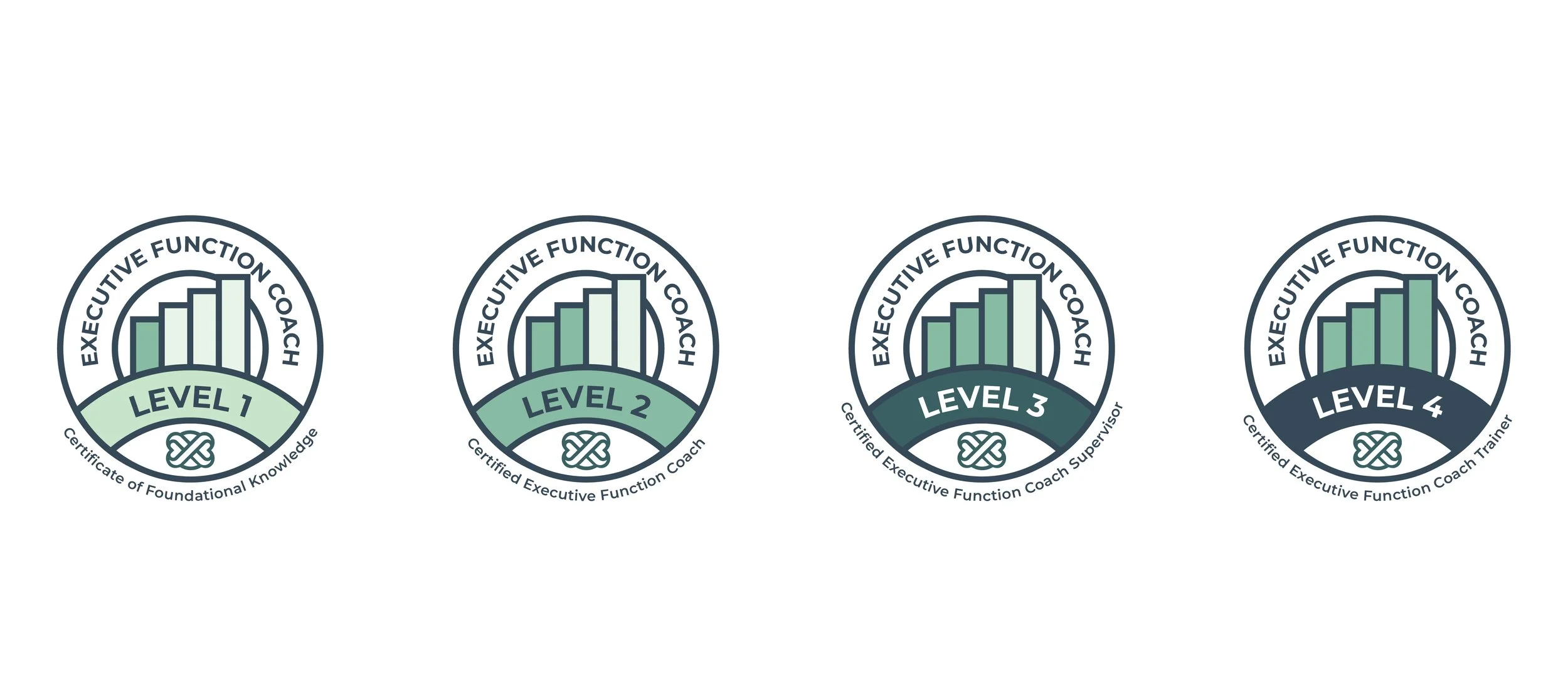 International Executive Function Coaching Certification