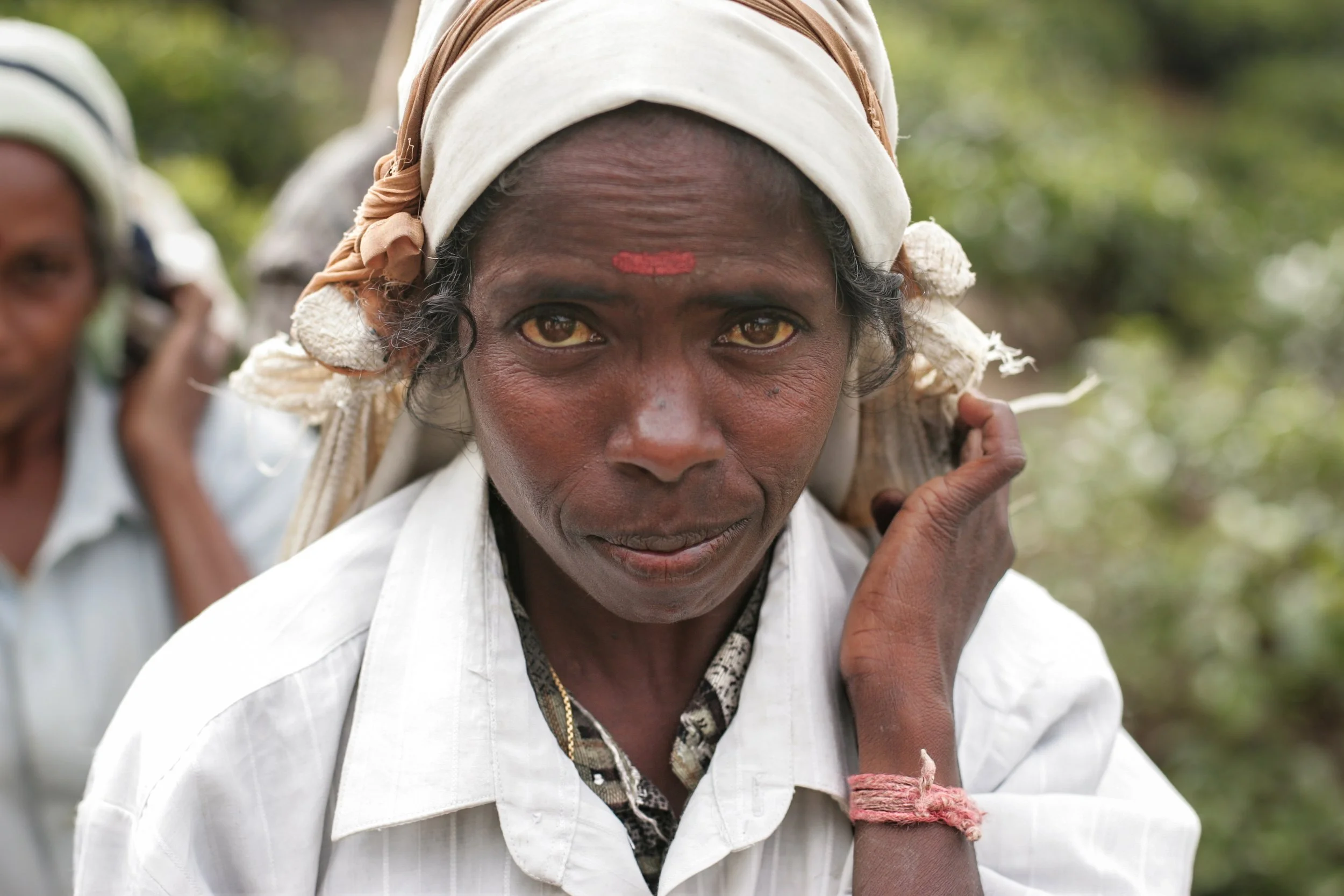 Portrait d'une femme Sri Lankaise sur une plantation de thé. Elle porte un foulard sur la tête. Elle regarde droit dans l'objectif. C'est un gros plan.