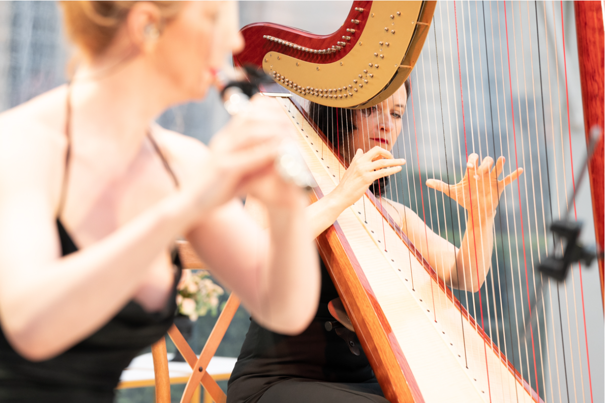 Screenshot 2025-11-27 at 11.36.07.png