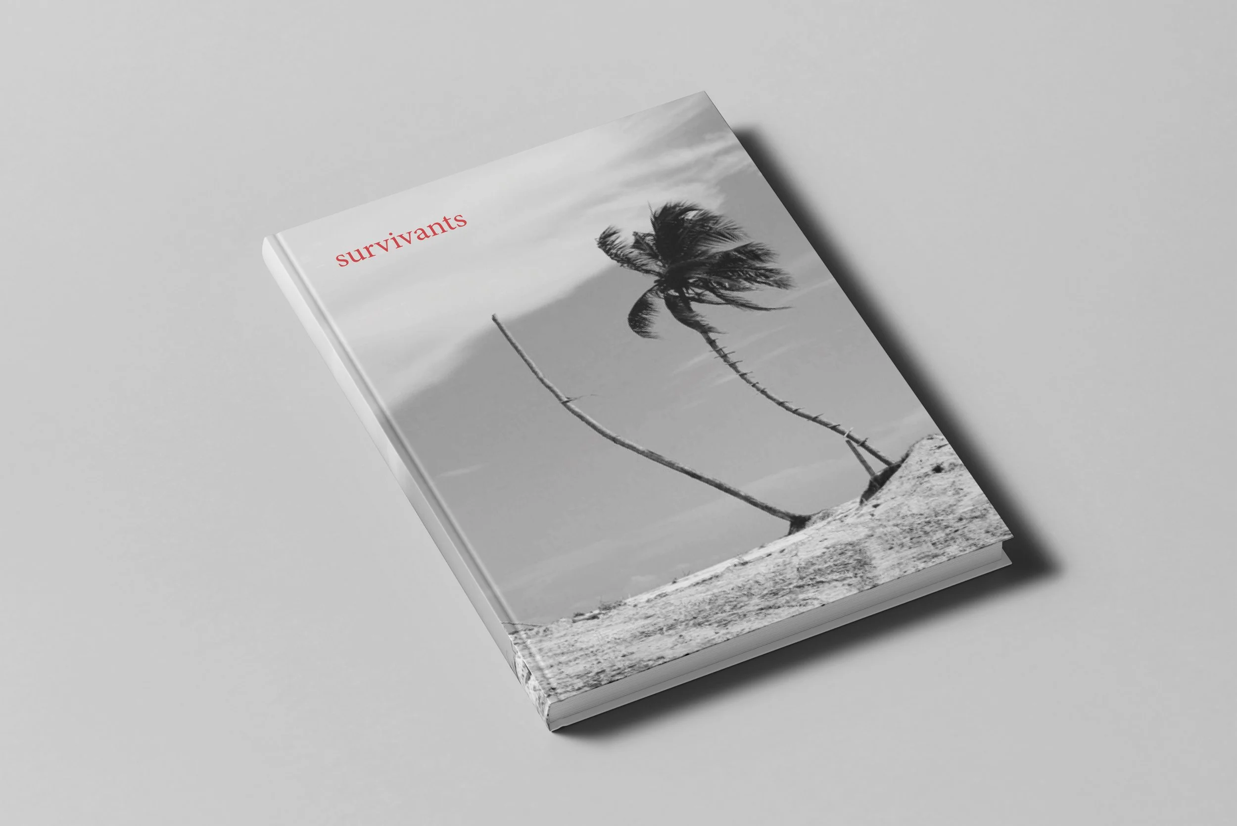 Livre "Survivants", bientôt disponible