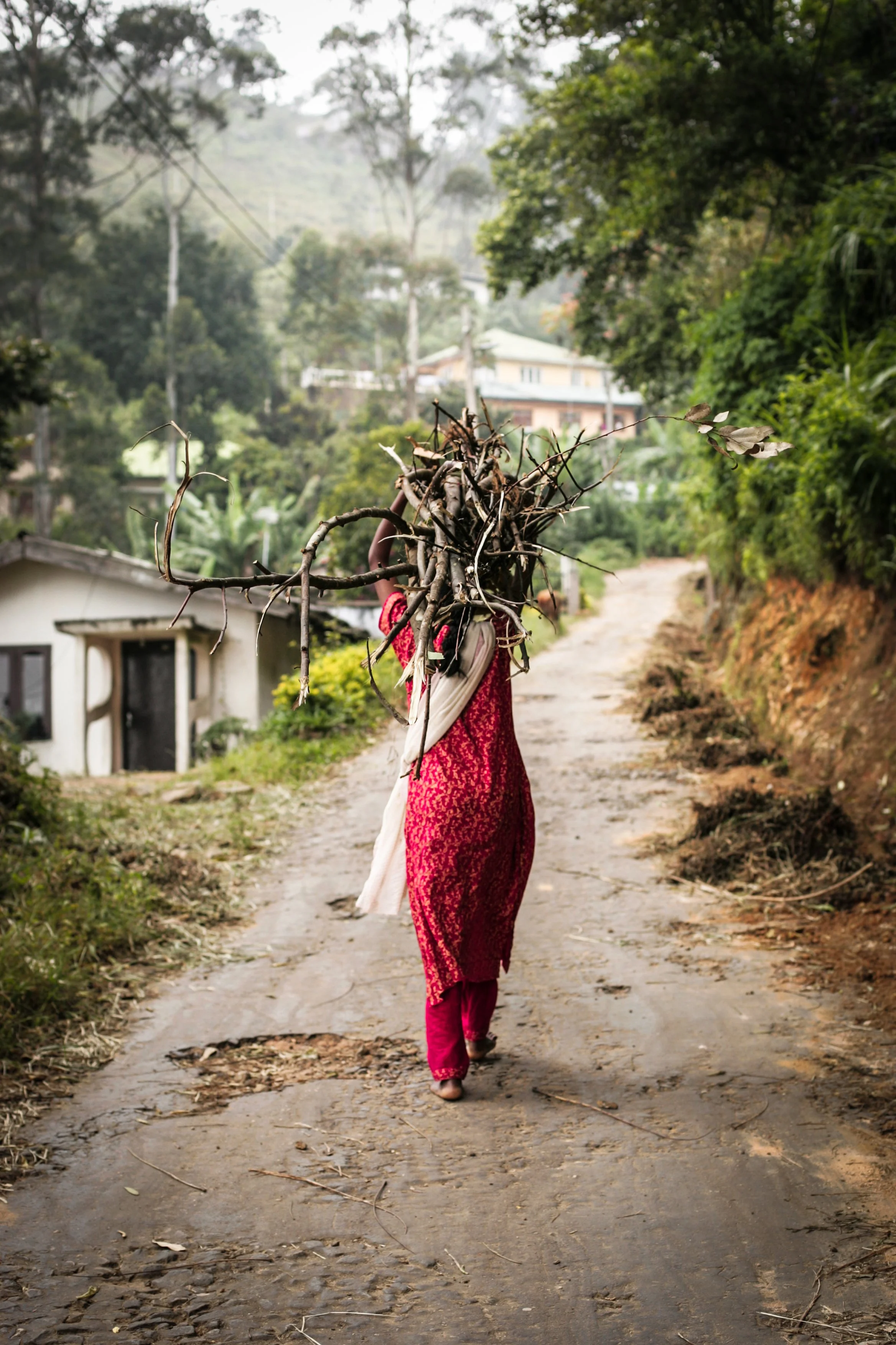 Femme Sri Lankaise en costume traditionnel rouge qui marche dos à nous. Elle porte un énorme tas de bois sur la tête et marche sur un chemin de terre.