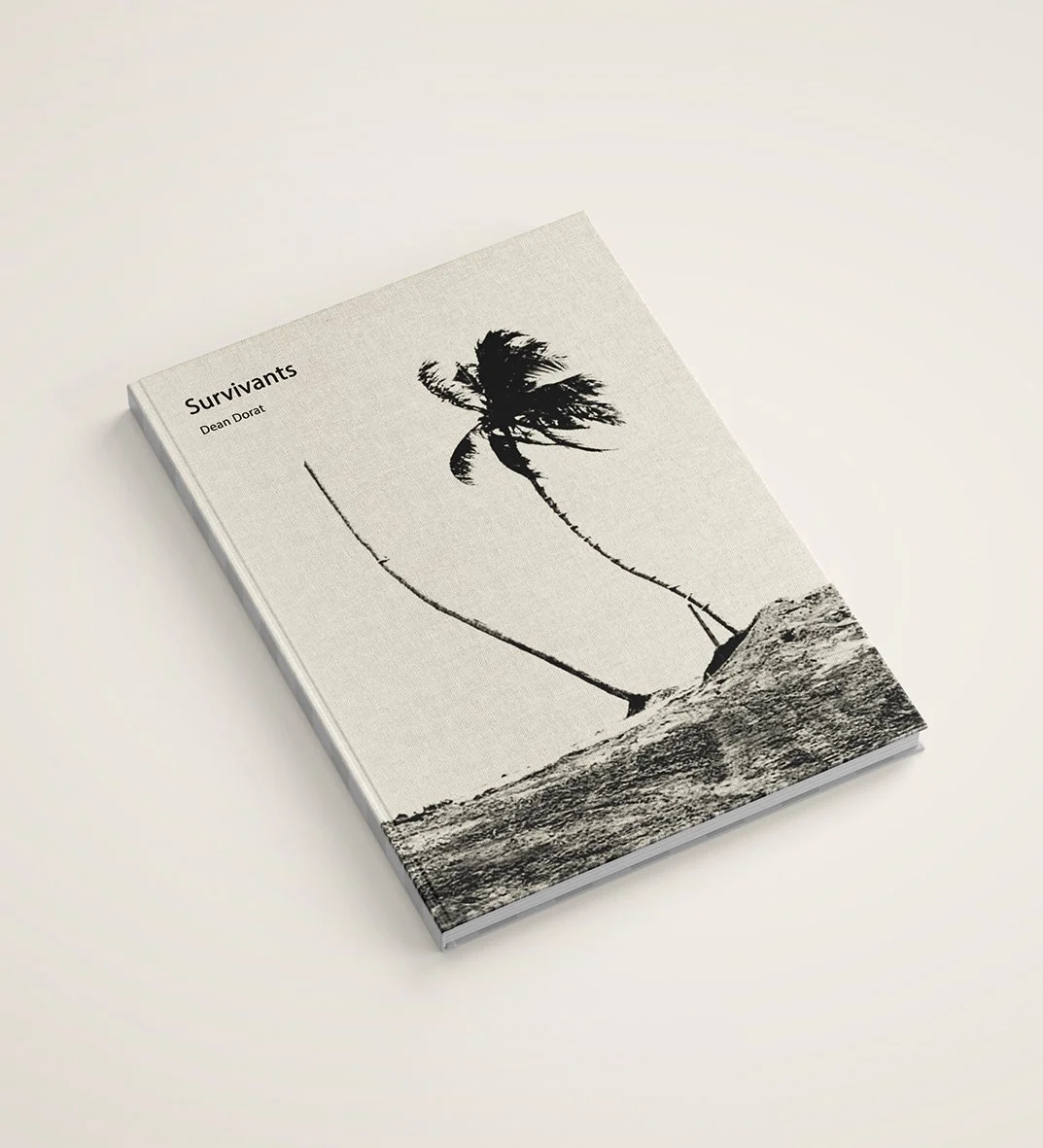 Book Cover Dean sable lighter.jpg