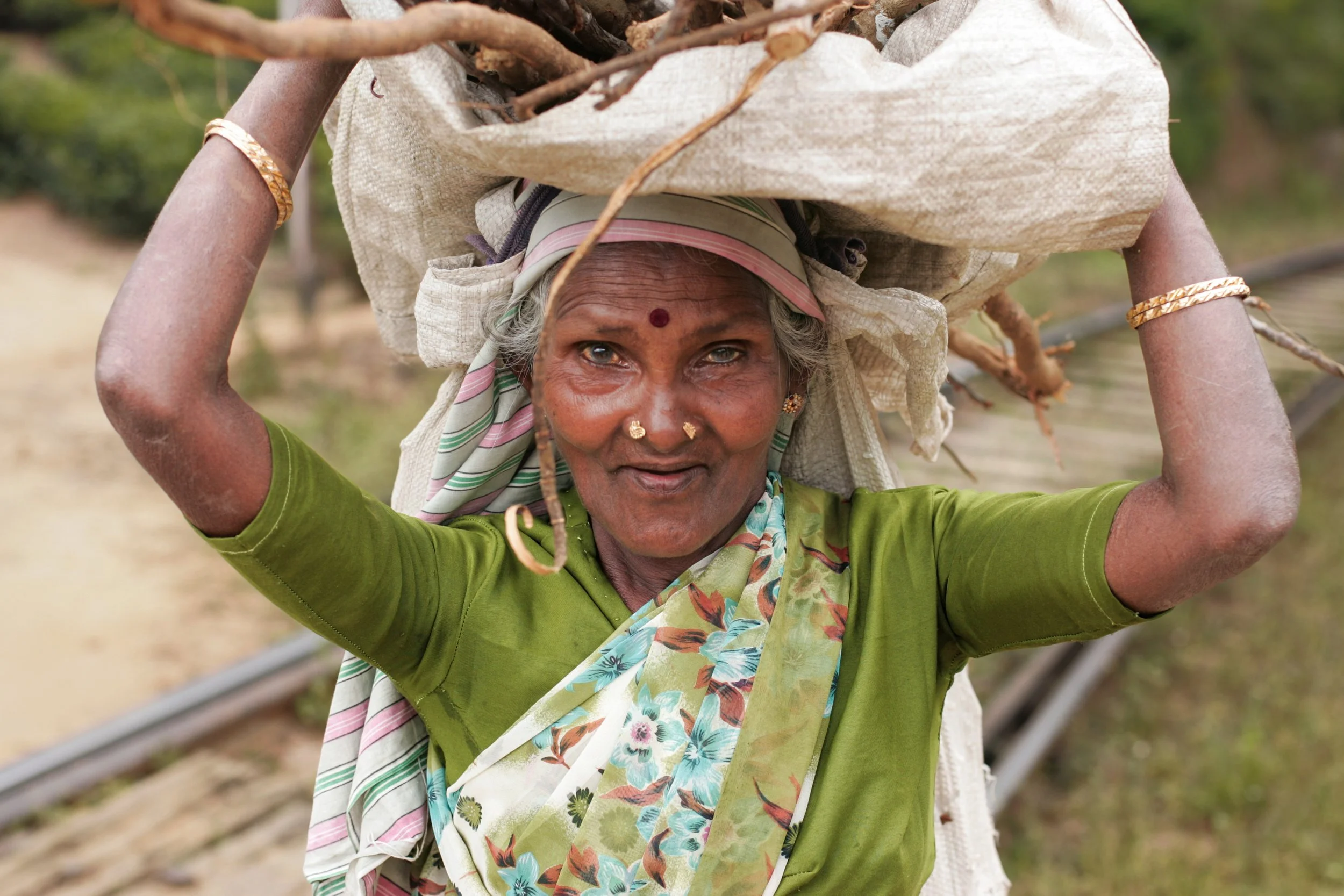 Portrait d'une vieille femme Sri Lankaise aux traits fins dans une plantation de thé au Sri Lanka. Elle a des yeux verts en amande et porte sur sa tête un fagot de branches de bois. Elle est vêtue de vert et regarde droit dans l'objectif.
