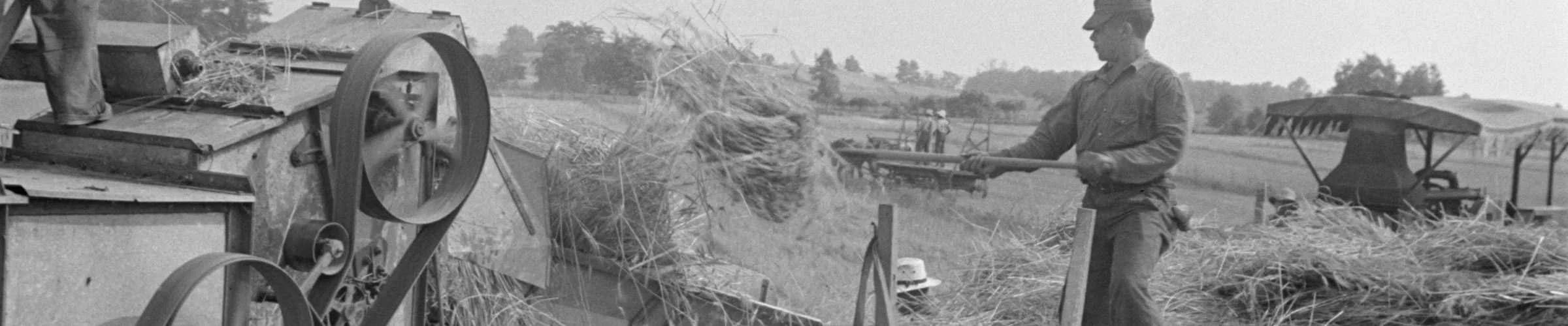 Hiirenloukku ja tuholaistorjunta - historia 