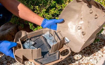 Rottien torjunta itse - 7 vinkkiä