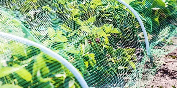 Rakenteiden suojaus ja esteet