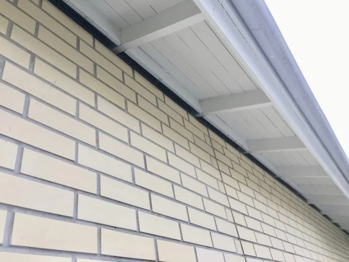 Uusi Pestes - lintusuojaus-4.jpeg