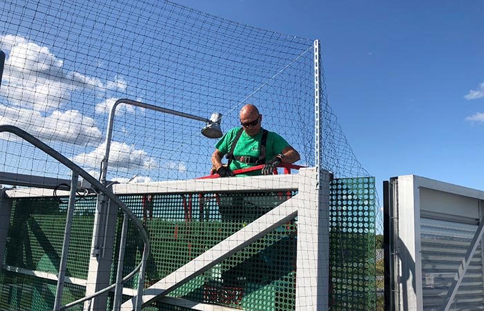 Uusi Pestes - lintusuojaus-3.jpg