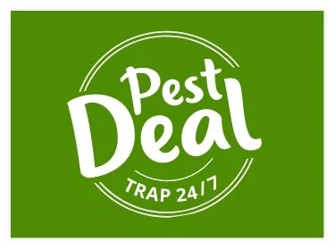 Haluatko eroon jyrsijöistä turvallisesti? Pest Trap 24/7-myrkytön jyrsijätorjunta