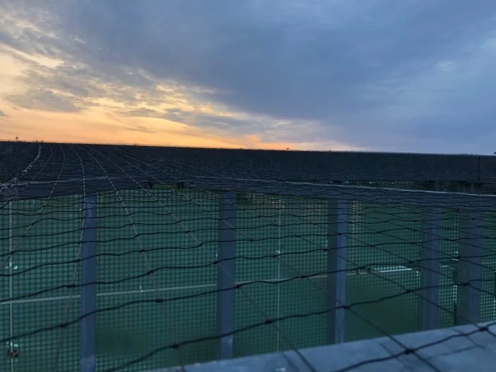 Uusi Pestes - puluverkko.jpeg