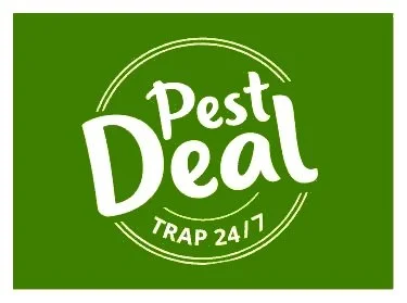 Pest Trap 24/7 – jyrsijätorjunta 3 kuukaudeksi