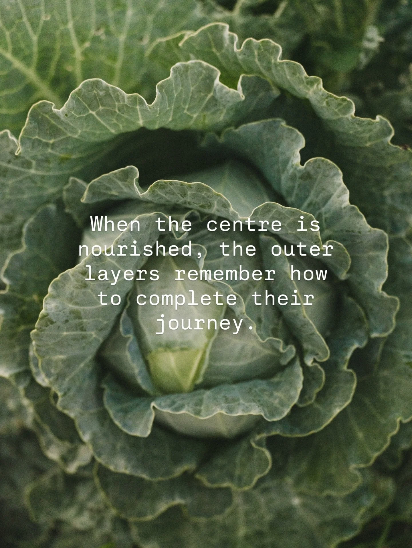 Growth doesn&rsquo;t begin at the edges.
It begins at the centre.

When the body feels depleted, we often try to change everything around us &mdash; routines, mindset, effort. But in clinic I see something different.

When blood sugar stabilises, whe