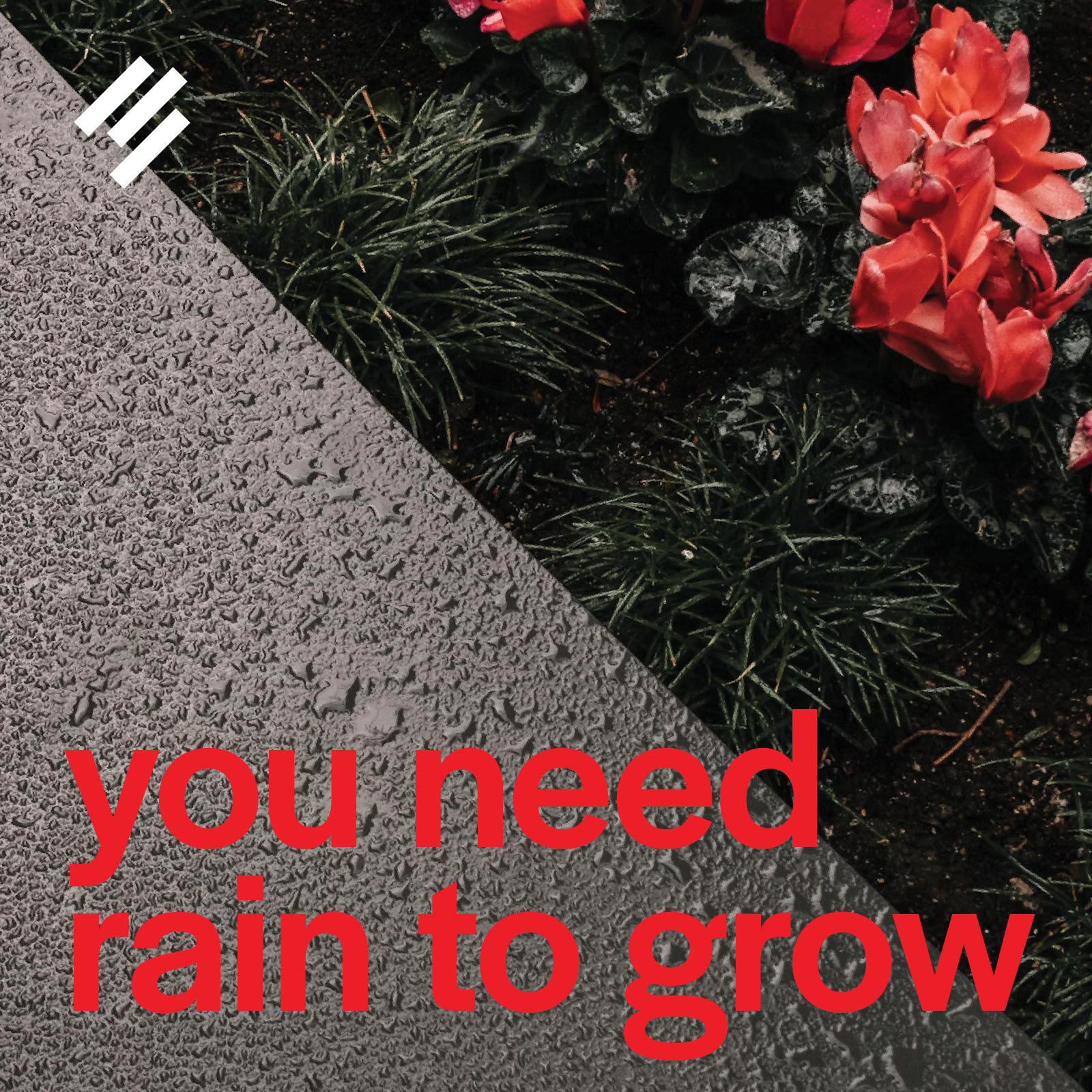 You Need Rain to Grow