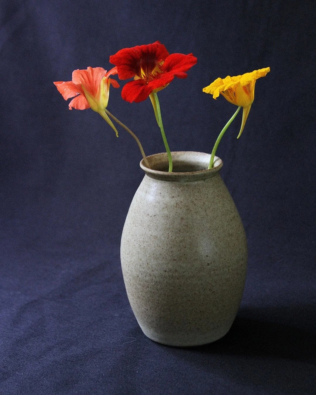 A bud vase with nasturtiums against a dark background