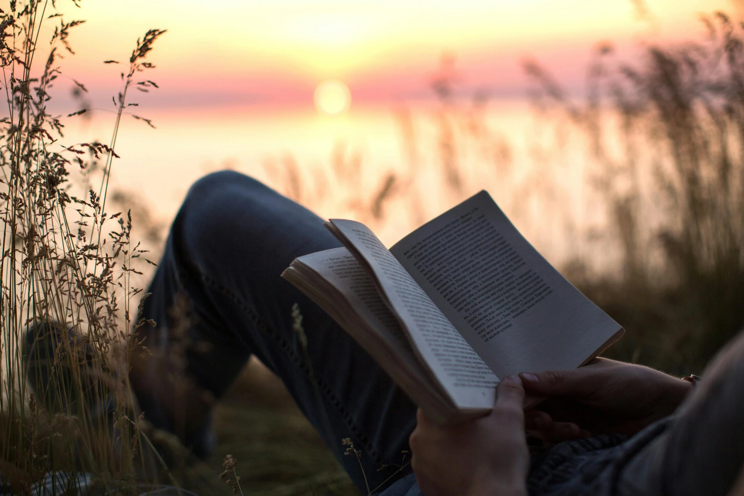 Persona leyendo un libro al atardecer en un campo junto a un lago o río, rodeada de hierba seca y plantas, con un paisaje de cielo con colores cálidos y el sol en el horizonte.