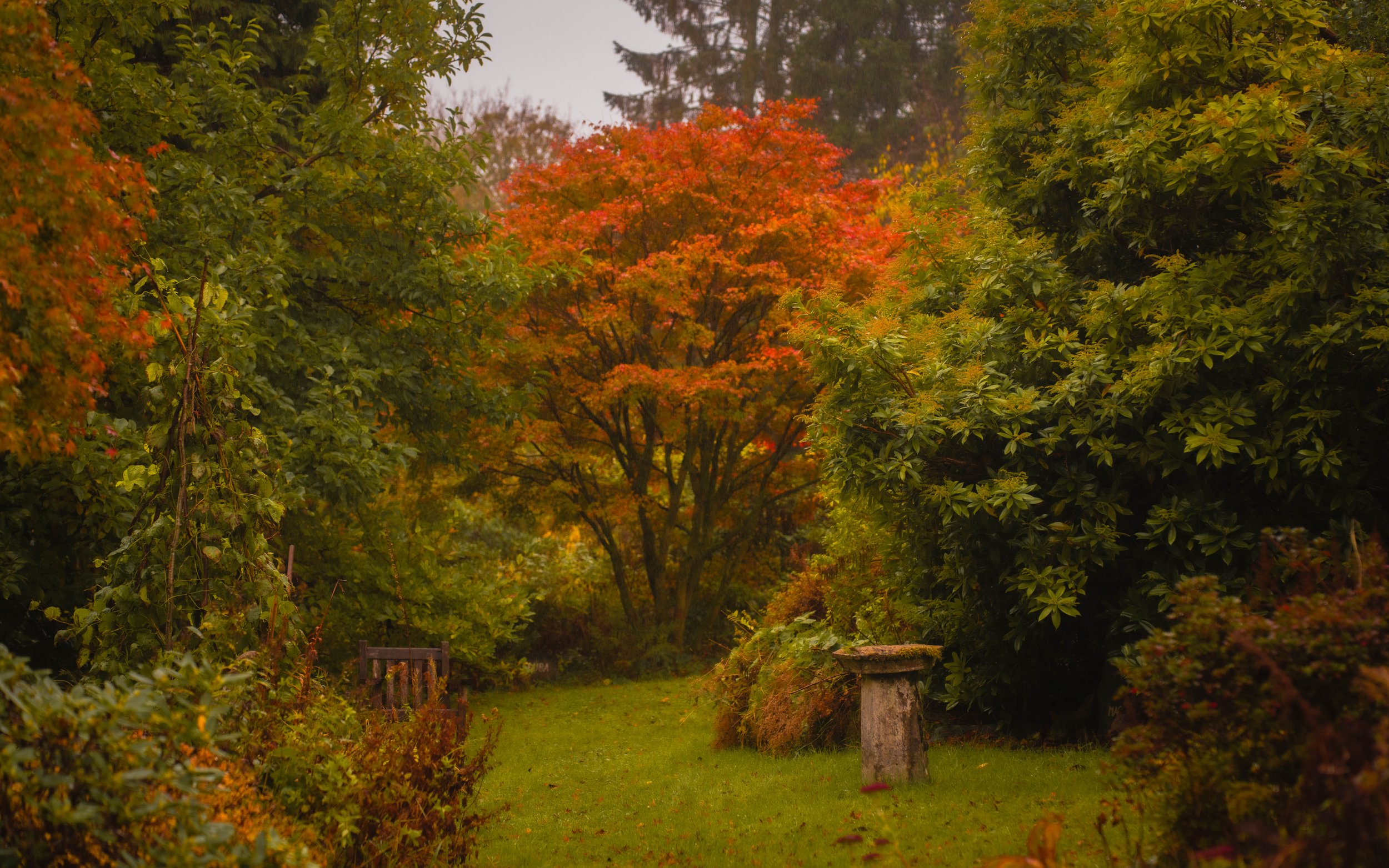 DSC09007.jpg