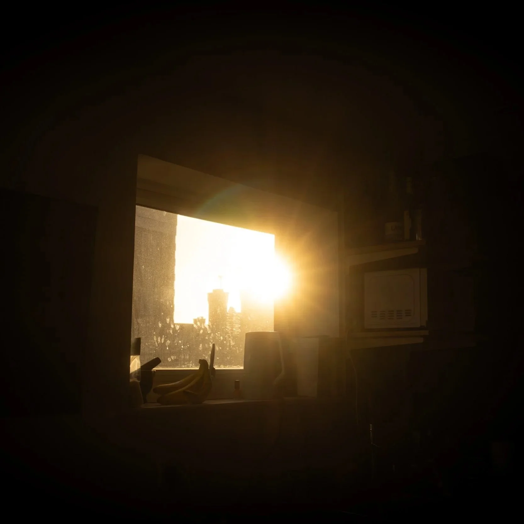 DSC08530.jpg