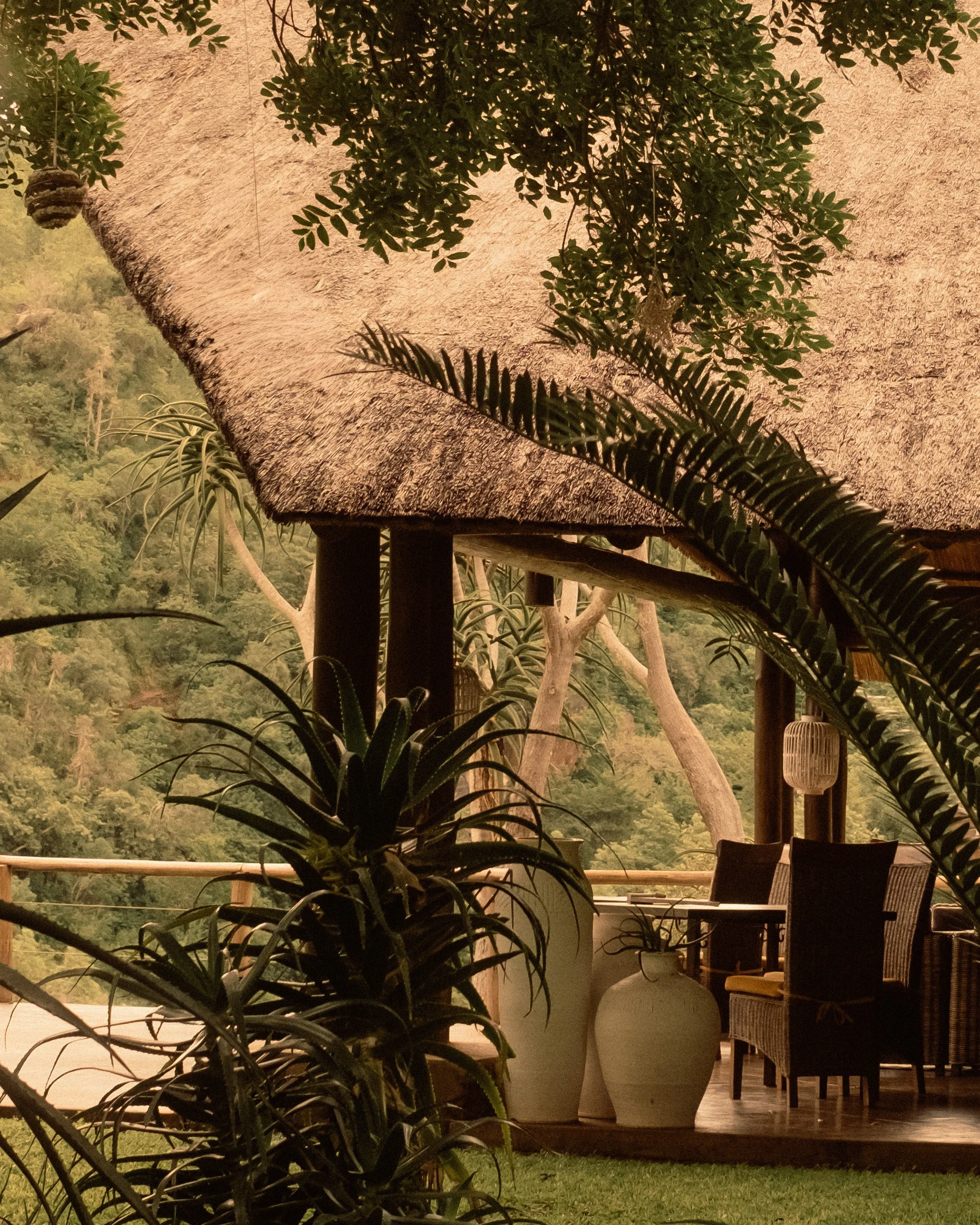 Hospitality & Travel