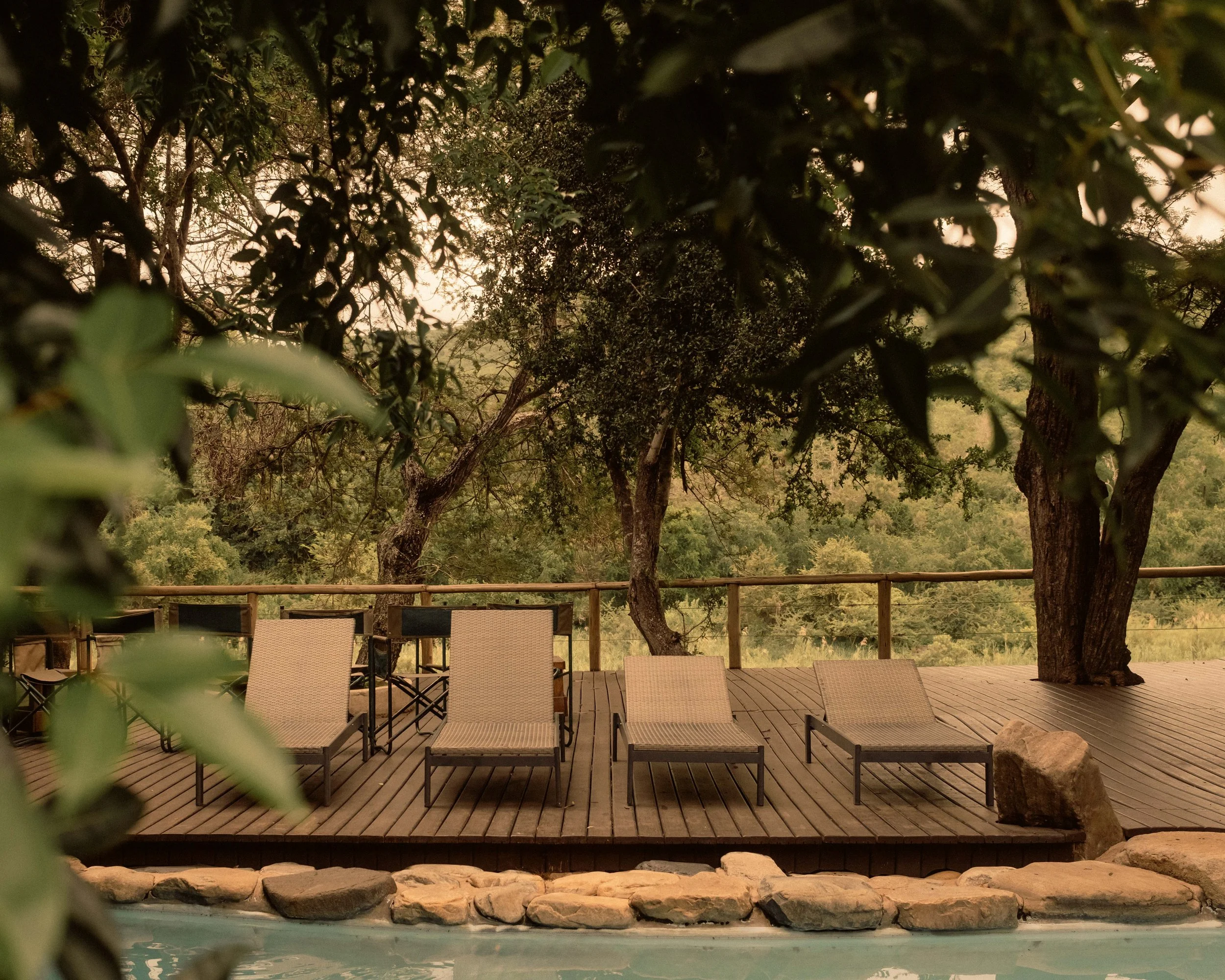 Hospitality & Travel
