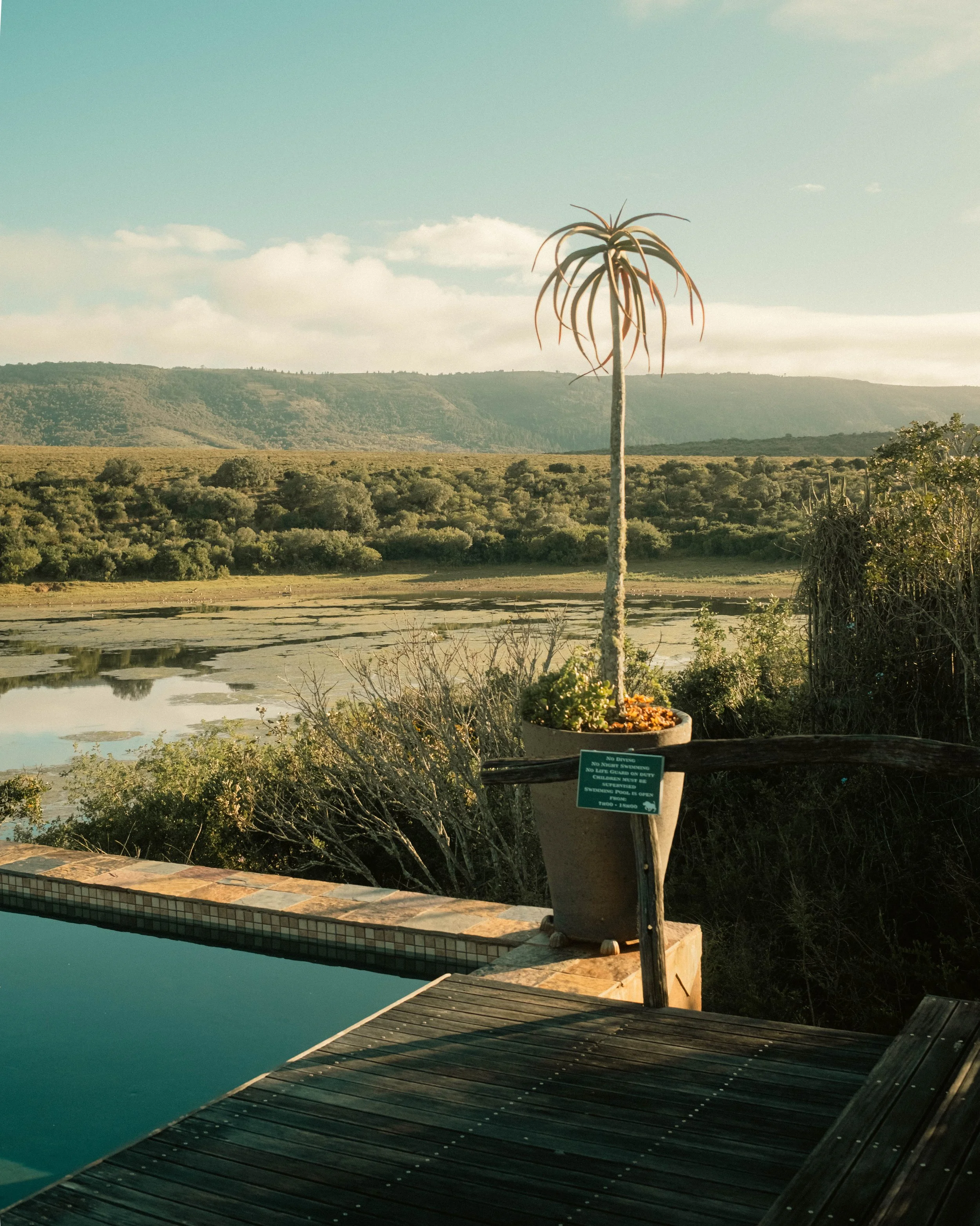 Hospitality & Travel