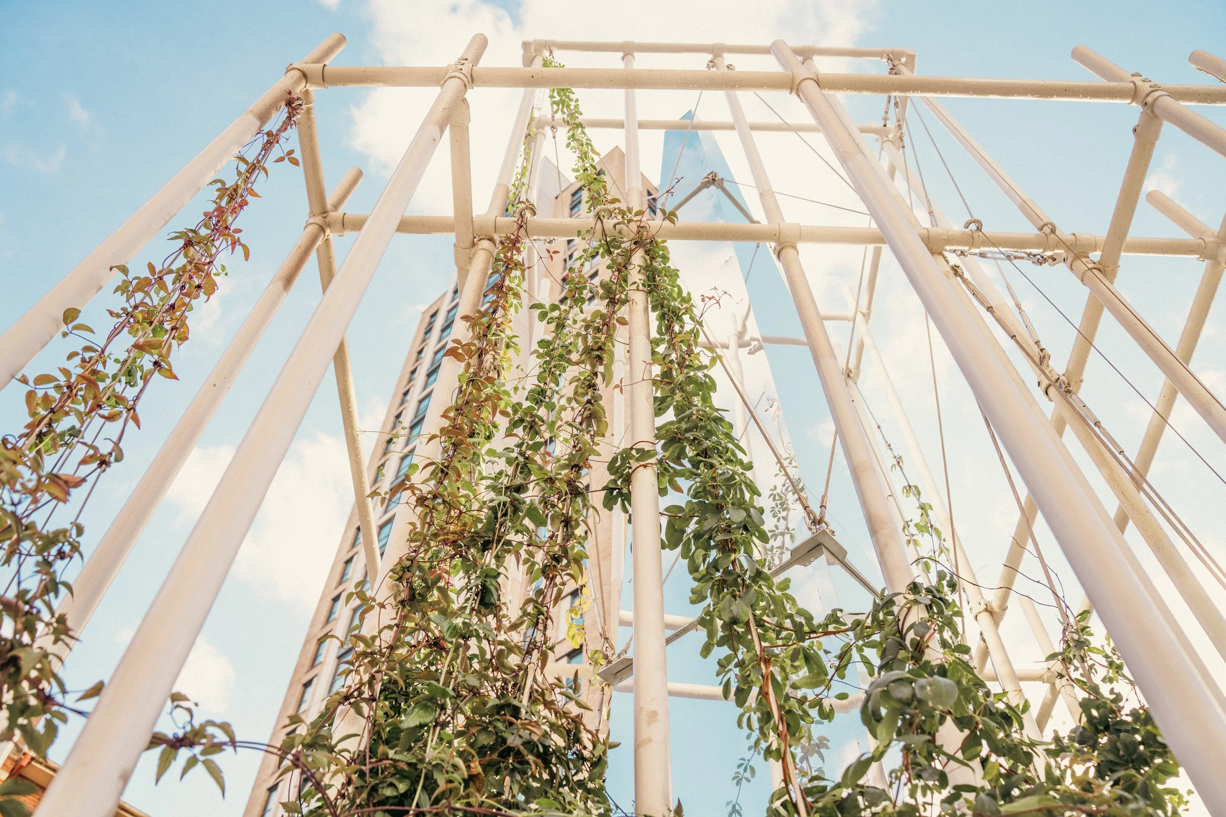 Low-angle view of a tall metal structure with climbing vines against a blue sky with clouds.