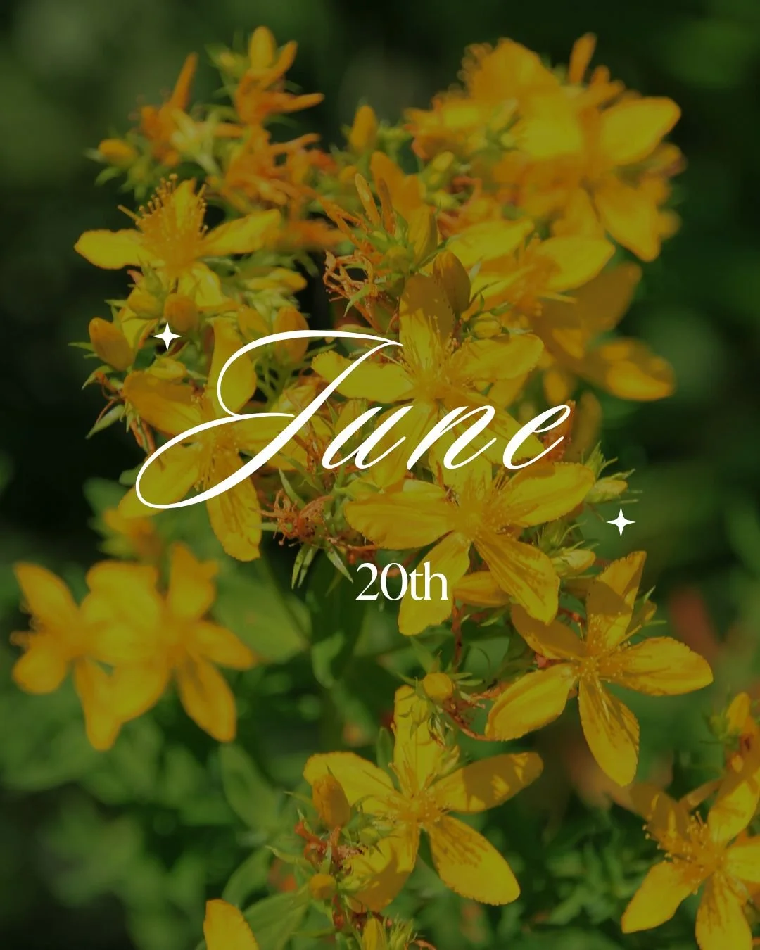 June 20th - Solstice Seasonal Immersion Day