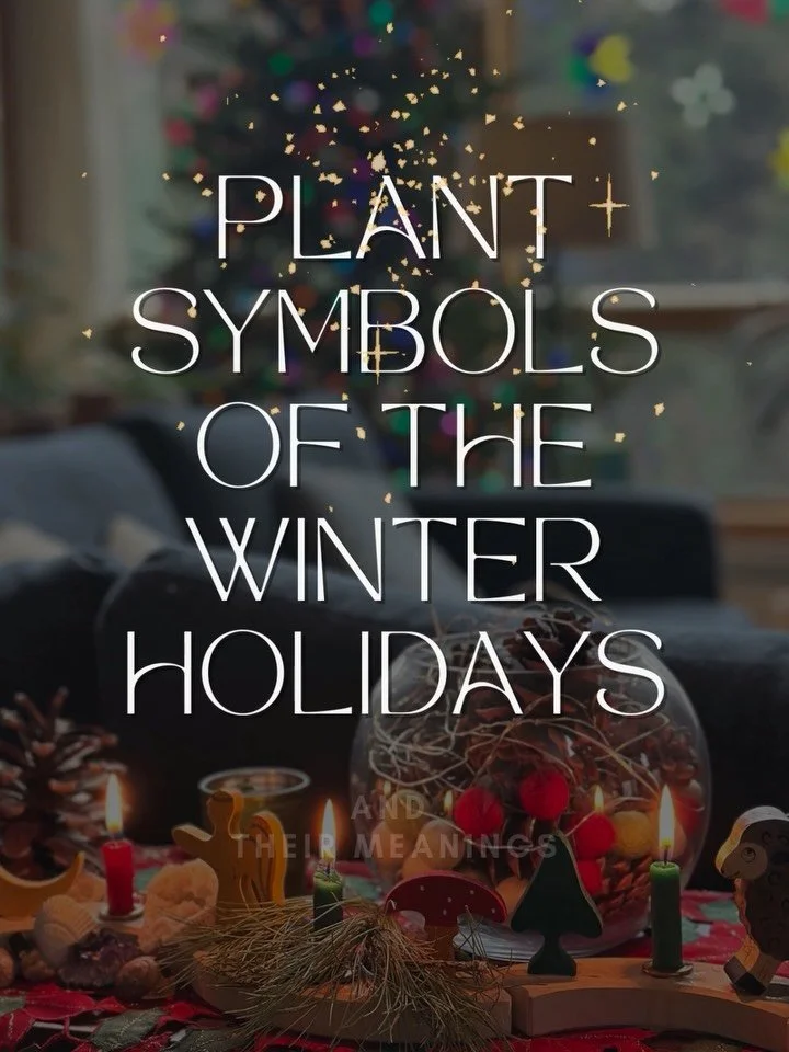 As we honor the plant kingdom, we recognize the symbolism behind the sacred ones of the season, carried across generations and traditions, each holding memory, meaning, and wisdom. 

As the returning light is born to guide us through the darkness onc