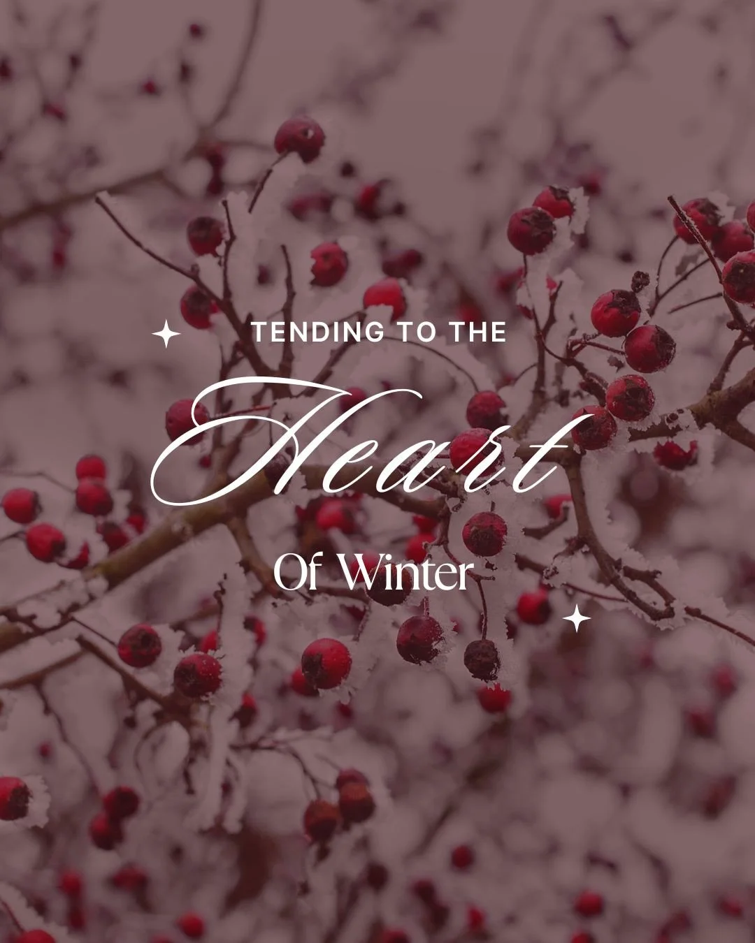 How are you tending to your heart?  Our mood affects cardiovascular health.  How is your nervous system responding to stressors around you, and how can you tend your heart space?  Another reminder to settle into the pace of winter ❄️ 

Hawthorn is on