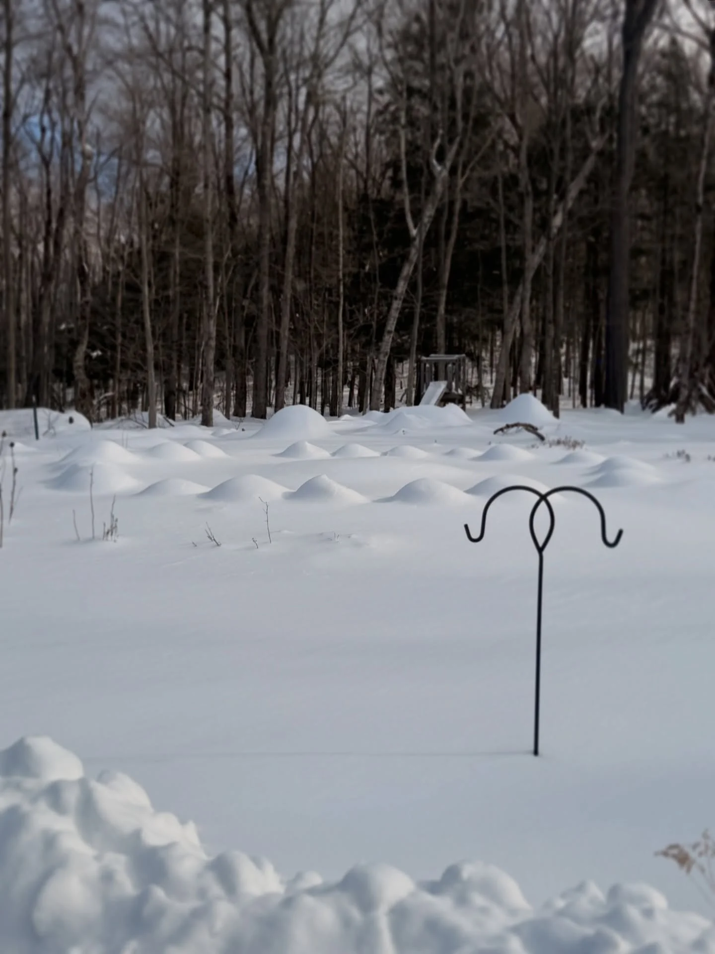 The medicine wheel was the first thing that was built on this land before there was a home here. Each stone unearthed and placed by hand to create the sacred container for each circle that would be held here. 🌀

The medicine wheel, now buried beneat