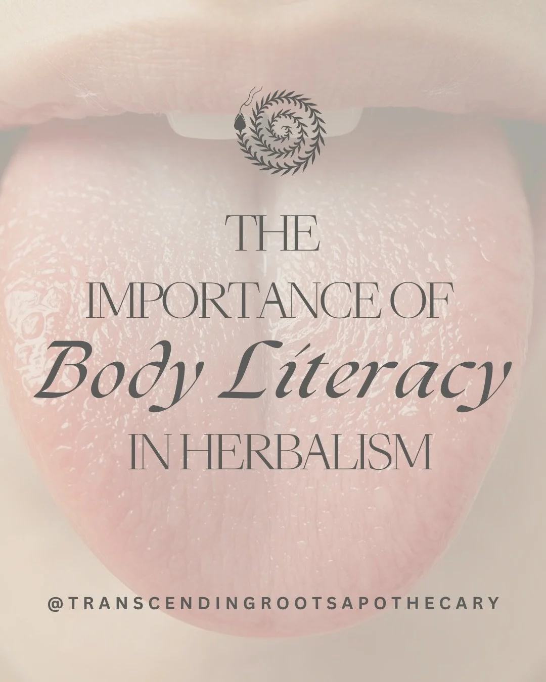 Body Literacy is Essential to being an effective practitioner. Just 9 more days until Reading the Body!

Will you join us? 

MARCH 28 &amp; 29th | 10 to 3 each day 

Link in profile to register 

#transcendingroots #transcendingrootsapothecary #herba