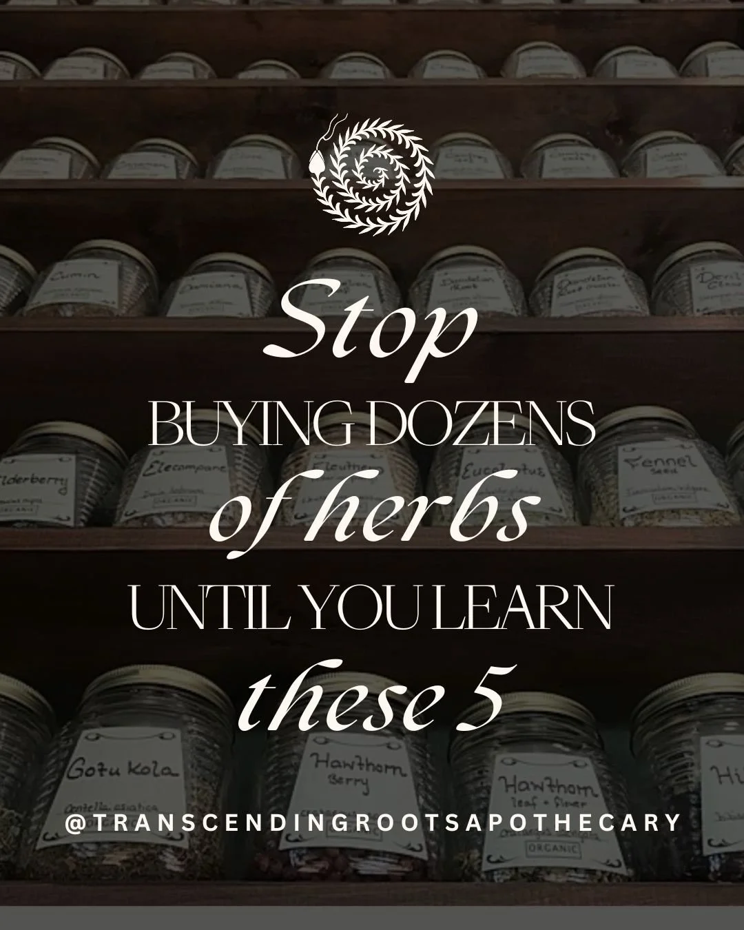 Learning your herbs DEEPLY is essential to becoming a great herbalist. 🌿

🌿 You can know a tiny bit about dozens of herbs, and still miss what their real value is.  Each herb has such complexity to its personality.  Learning who they really are, no