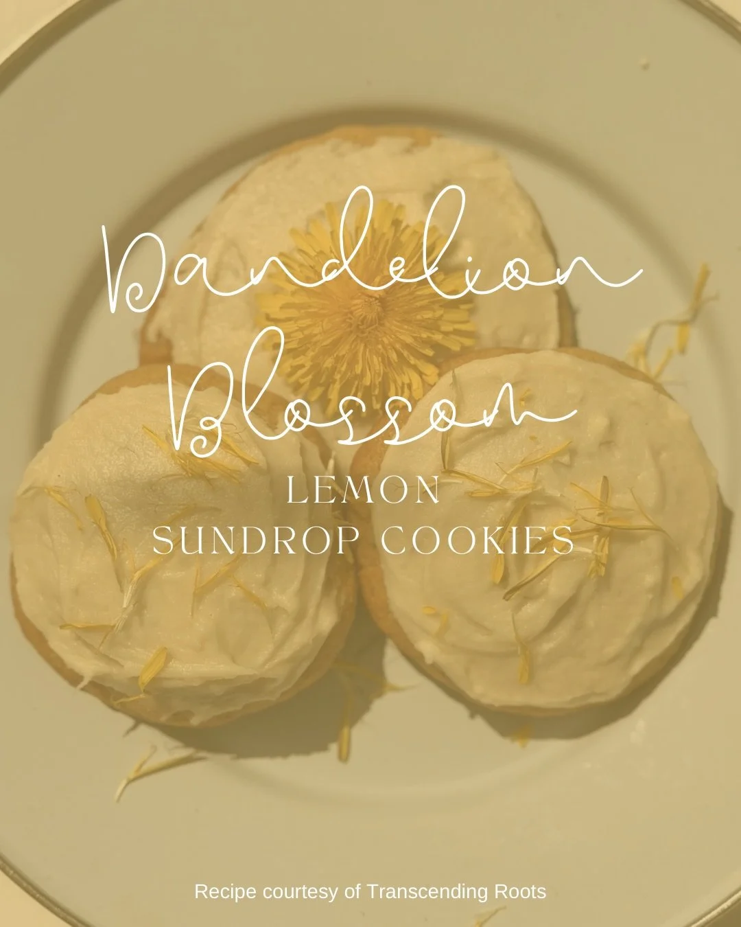 Save this recipe for later!! This experiment turned out absolutely amazing! 

This recipe came through this week when putting together some treats for a teacher appreciation week, and these dandelion blossom cookies truly are Spring Sunshine in every