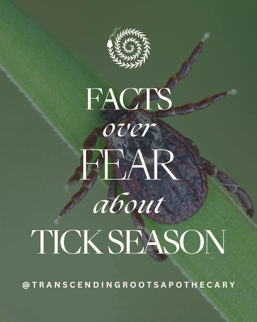 Fear vs Fact - Tick season is sure to bring up a lot of caution when these creepy crawlers emerge more abundantly this time of year. 

But it doesn&rsquo;t have to prevent you from enjoying time in nature! A little precaution and education goes a lon