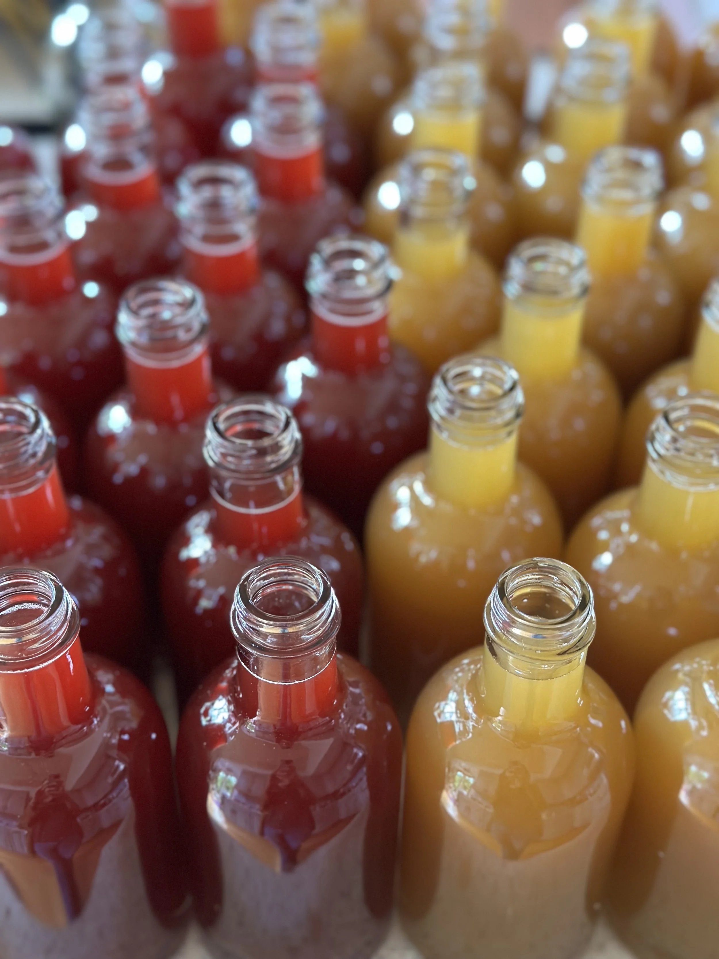 Rows of glass bottles filled with herbal vinegars and shrubs arranged on a surface.
