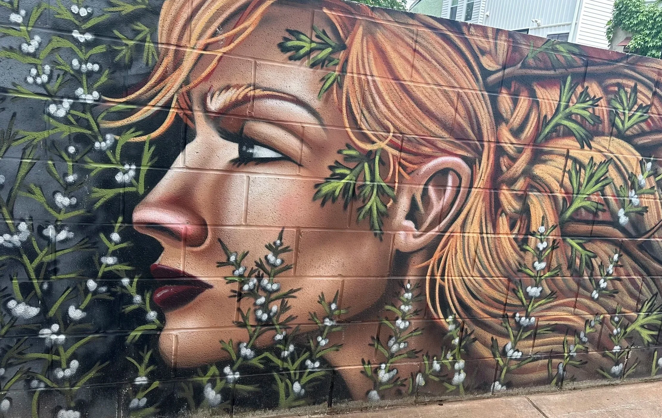 Street art mural of a woman's profile with flowing orange hair, surrounded by green leaves and white flowers on a brick wall.