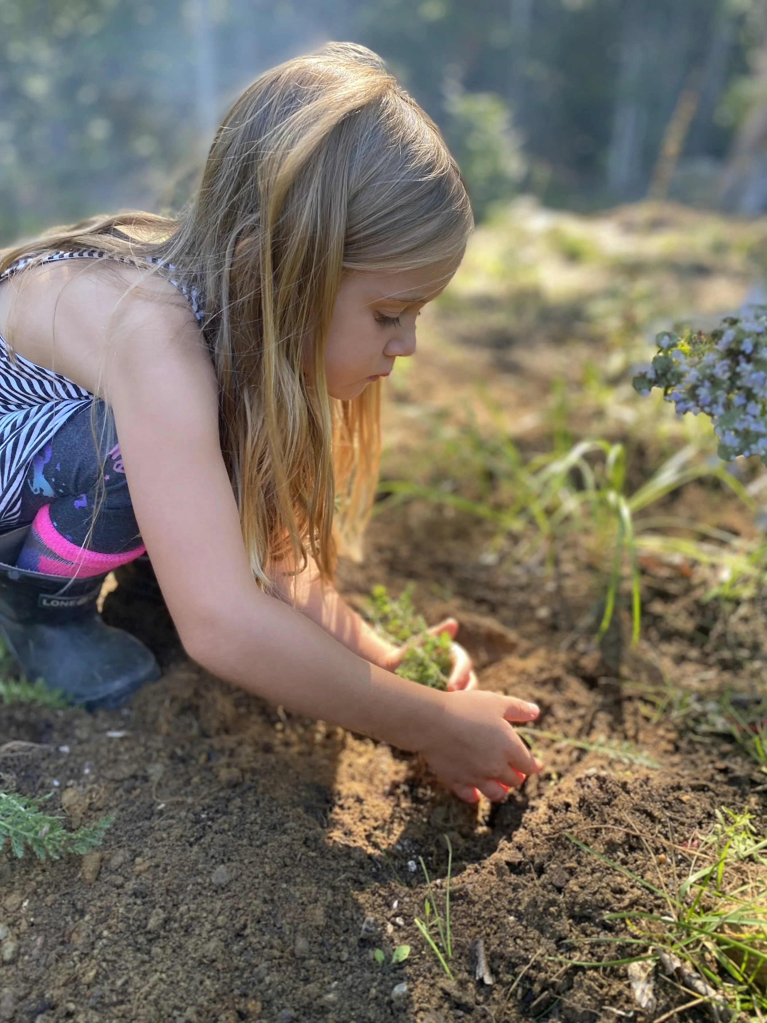 A young girl planting flowers in the soil outdoors on a sunny day.