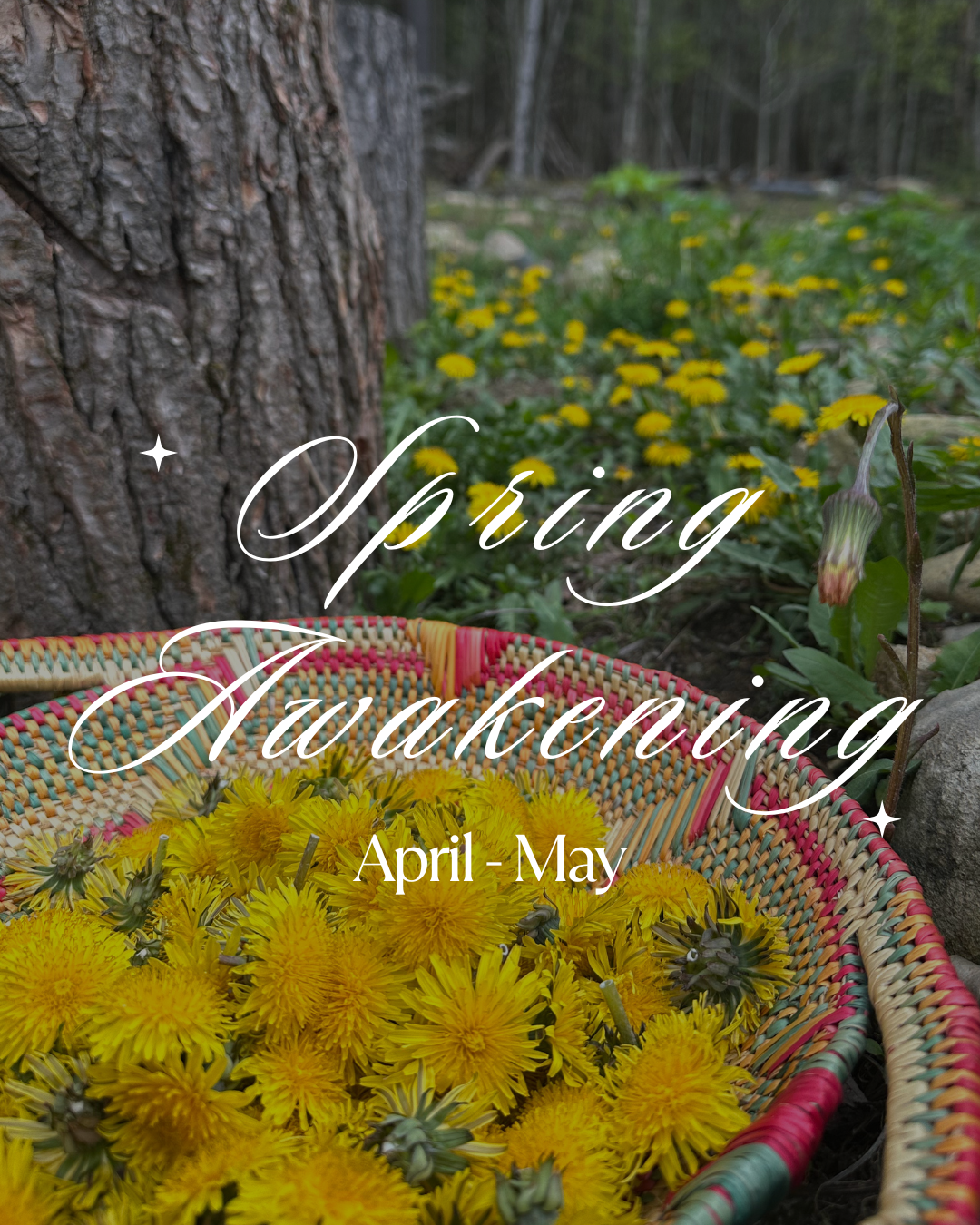 A mountain landscape with snow-capped peaks in the background, rolling green hills in the middle, and a modern building on the hillside in the foreground.