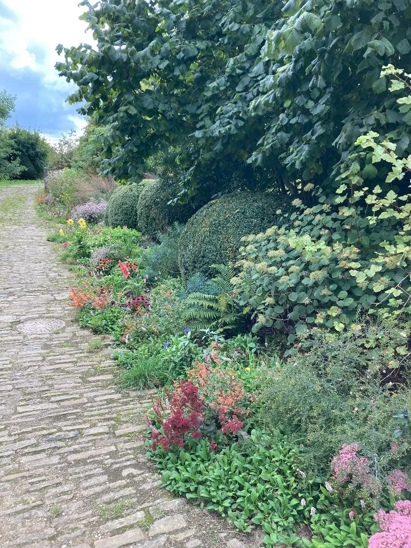 A stone pathway beside a lush garden with green bushes and colorful flowers, with large leafy trees overhead.