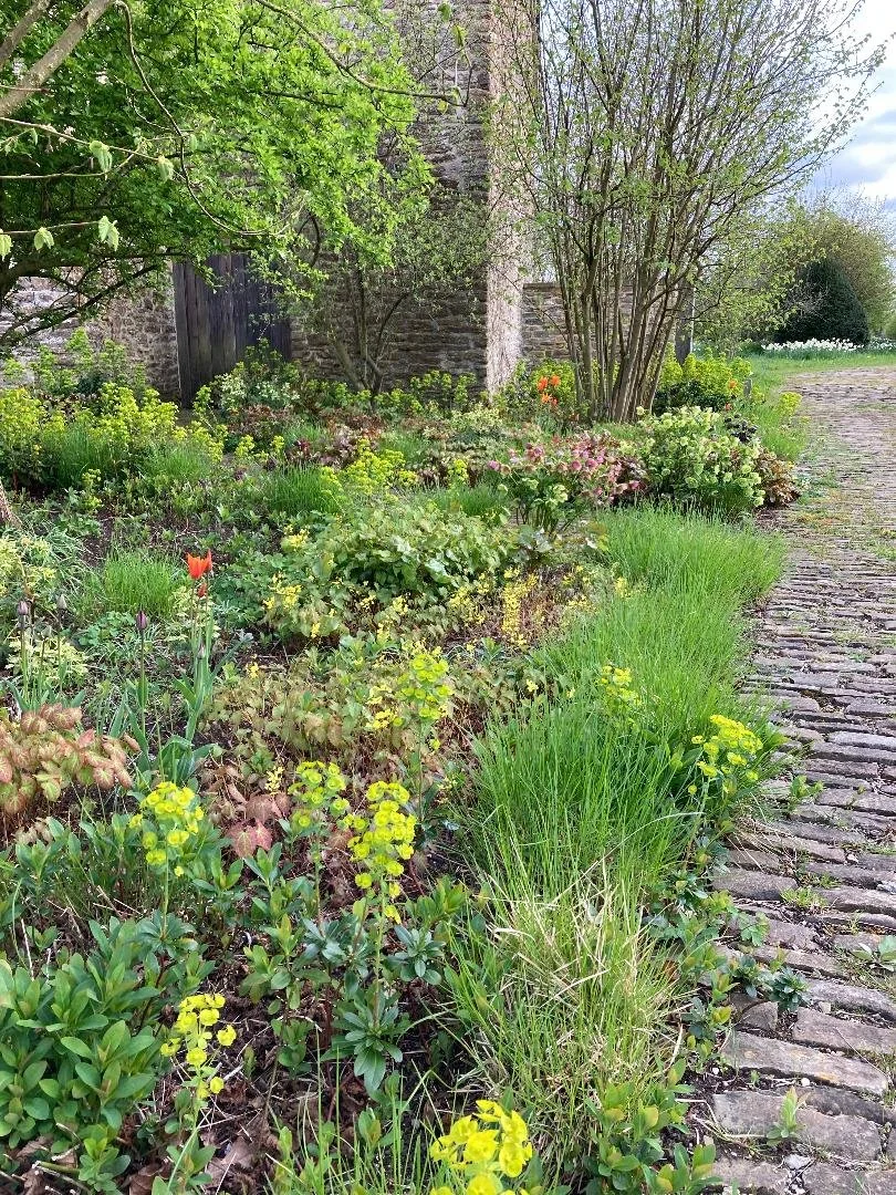 A lush garden with a cobblestone pathway on the right, various green plants, and small flowering shrubs along the edge, with trees and a stone wall in the background.