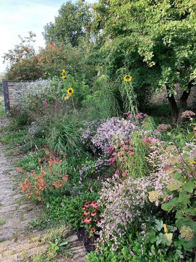 Colorful garden with various flowers including sunflowers, pink, purple, and orange blooms, surrounded by green foliage and trees, with a cobblestone pathway.