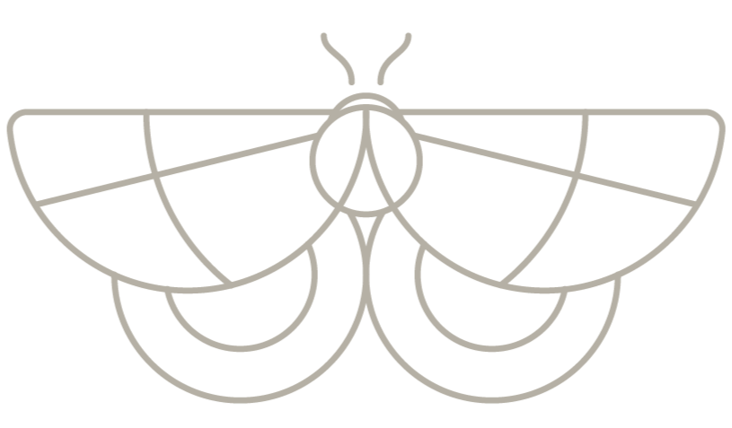 Chrysalis