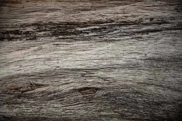 Bark 6