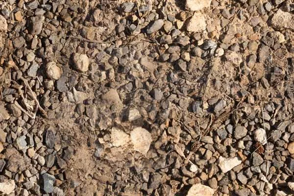 Pebbles 7