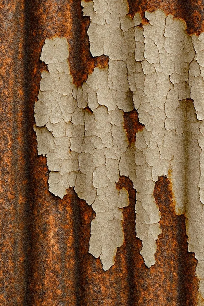 Paint 8