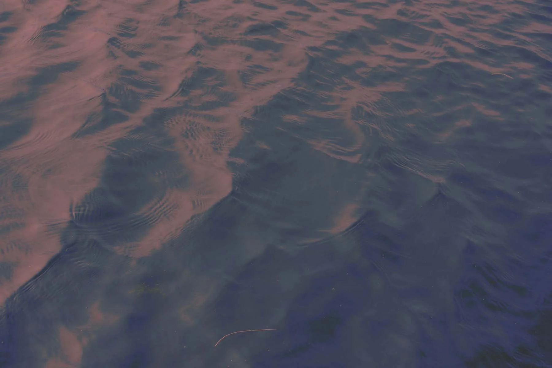 Ripples 21